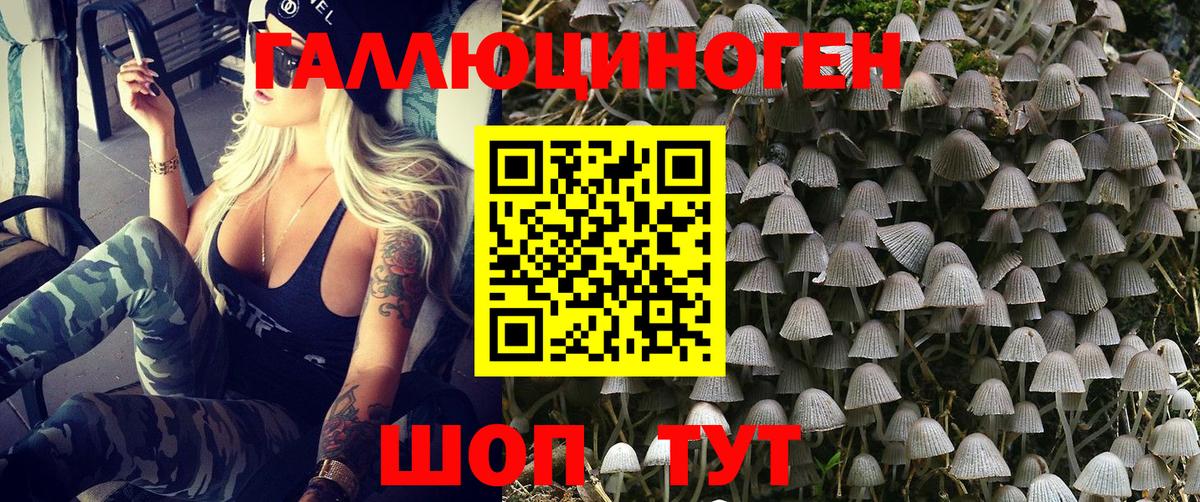 Кузнецк  Псилоцибиновые грибы ЛСД  Вход с VPN  Псилоцибиновые грибы Magic Shrooms 